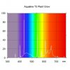 T5 Plant Grow Chart.jpg