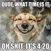 dog 420.jpg