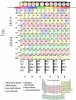 Periodic Table Organic Folding.jpg