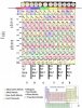 Atomic weight comparison.jpg