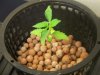 Next Grow D 004.jpg