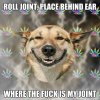 whereisjoint.jpg