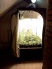 My grow tent.jpg