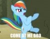 132090858310-Rainbow_Dash_Come_At.jpg