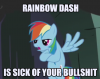 Rainbow_Dash_is_tired_of_your_bullshit-(n1293712786630).png