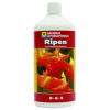 Ripen_4e0ae47dcdba0.png