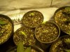 first grow 083.jpg