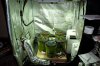 Grow Tent 2.5-5.jpg