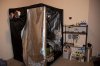 Grow Tent 2.5 + Progress-8.jpg