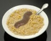 360px-Poop_in_cereal.jpg