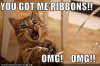 funny-pictures-cat-is-excited-about-ribbons.jpg