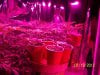 Party Grow 4 005.jpg