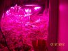 Party Grow 4 014.jpg