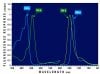 chlorophyllspectra.jpg