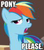 pony_please-(n1298133559751).png