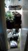 VegRoom_20120731.jpg