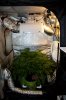 Grow Room 2.0 - Inside plus CO2 PPM (1 of 9).jpg