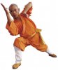 ShaolinMonk[1].jpg