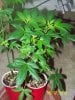 Party Grow 8 011.jpg