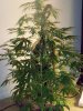 Party Grow 8 007.jpg