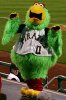 150px-Pirate_parrot_pirates_mascot.jpeg