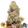 Barneys-Farm-pineapple-chunk.jpg