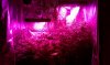 thegrow0208.jpg