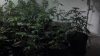 2012-08-29_19-53-40_491.jpg