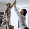 epic-high-five-samburg-lynx.jpg