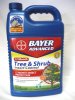 BayerTreeShrub_%u002525281%2529.jpg