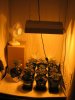 Grow set up 003.jpg