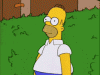 no-words-homer-into-brush.gif