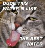 Dude_This_Water_zps3206c709.jpg