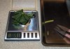 raw leaf 25th day veg weight.jpg