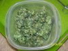 Party Grow Wet Weight 008.jpg