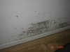 wall mold photo 9.jpg