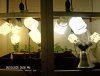 new clone lights 001.jpg