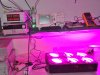 led grow light144.jpg