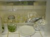 tissue culture #2 007.jpg