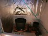 veg room 001.jpg