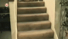 catshatestairs_zpsbeb02c59.gif