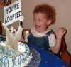 cat cake adop.jpg