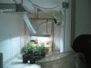 grow room 5.jpg