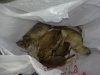 rats in a bag.jpg