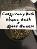 Conspiracy Kush.jpg