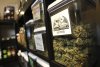 weed_on_shelves_640.jpg