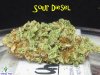 Sour-Diesel-Nug2-1024x768.jpg