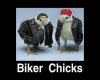 bikerchicks.png