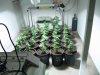 veg room 1.jpg