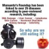 monsanto.jpg